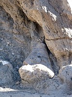 Dinosaur national park (4).JPG